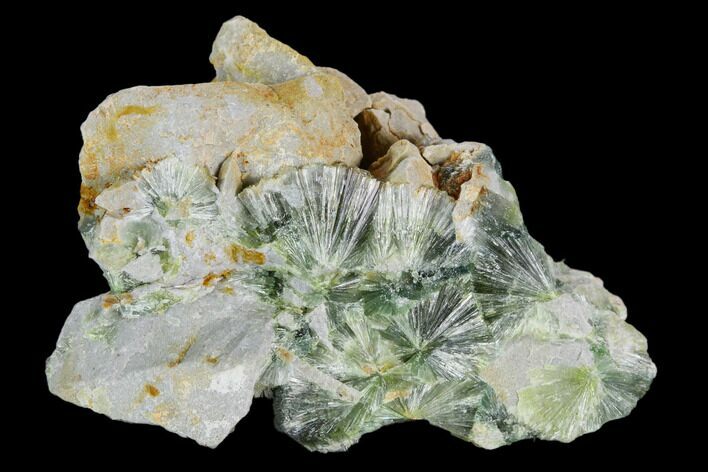 Radiating, Green Wavellite Crystal Aggregation - Arkansas #127113